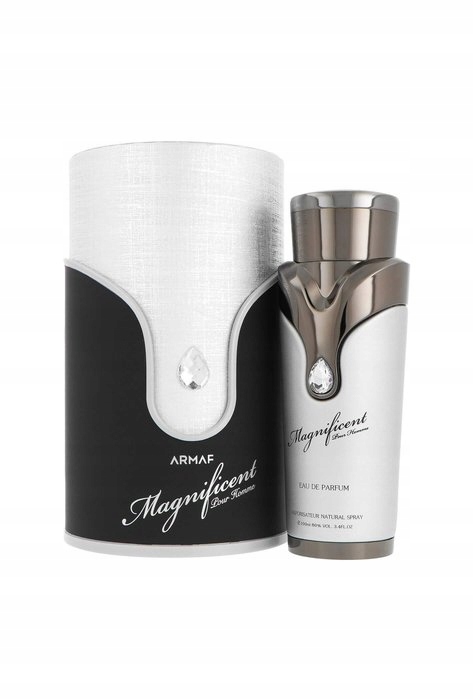 Armaf Magnificent Pour Homme Edp 100ML