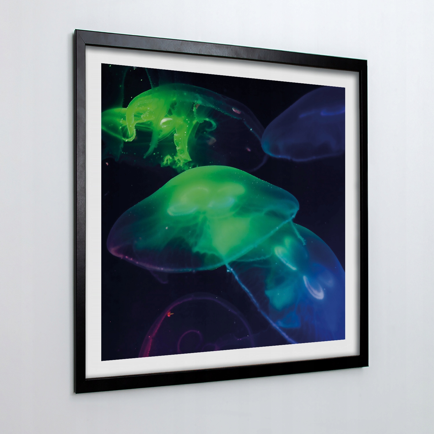 Nástěnný obraz do obývacího pokoje Barevné medúzy 50x50 cm