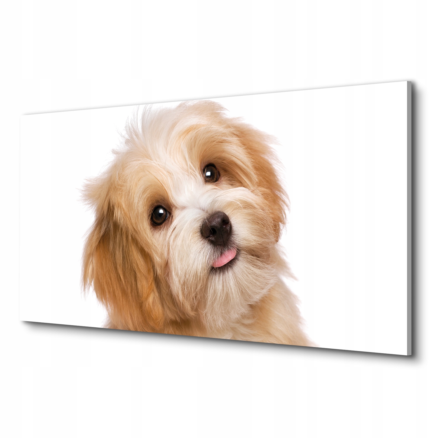 

Obraz na płótnie do pokoju Trawa makro rosa 100x50