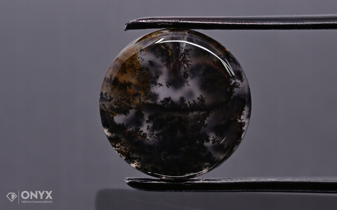 Dendritový achát z Kazachstánu konvexní mělký kruh