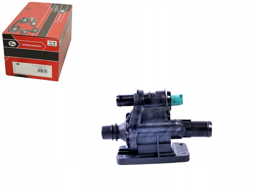 Termostat Gates 1230673 1313841 Y6021517X 11517805