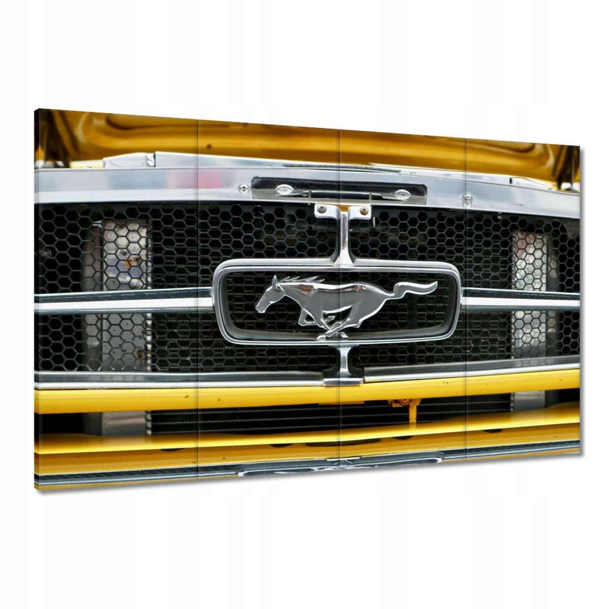 Obrazy 120x80 Známka Mustanga Ford Usa