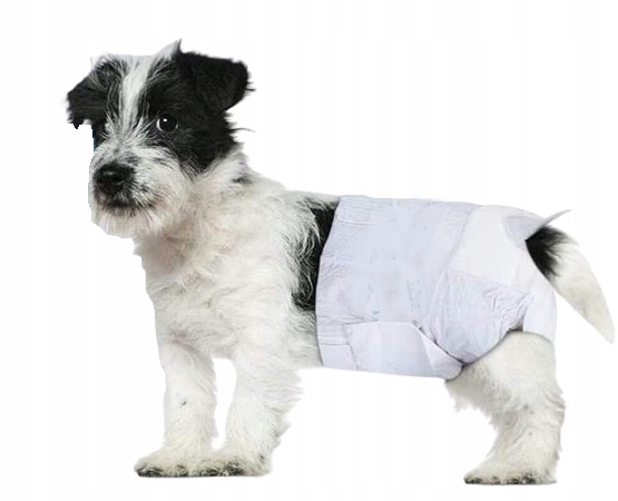 

Pieluchy Xs pampersy dla suczki psa 1-3 kg 12szt