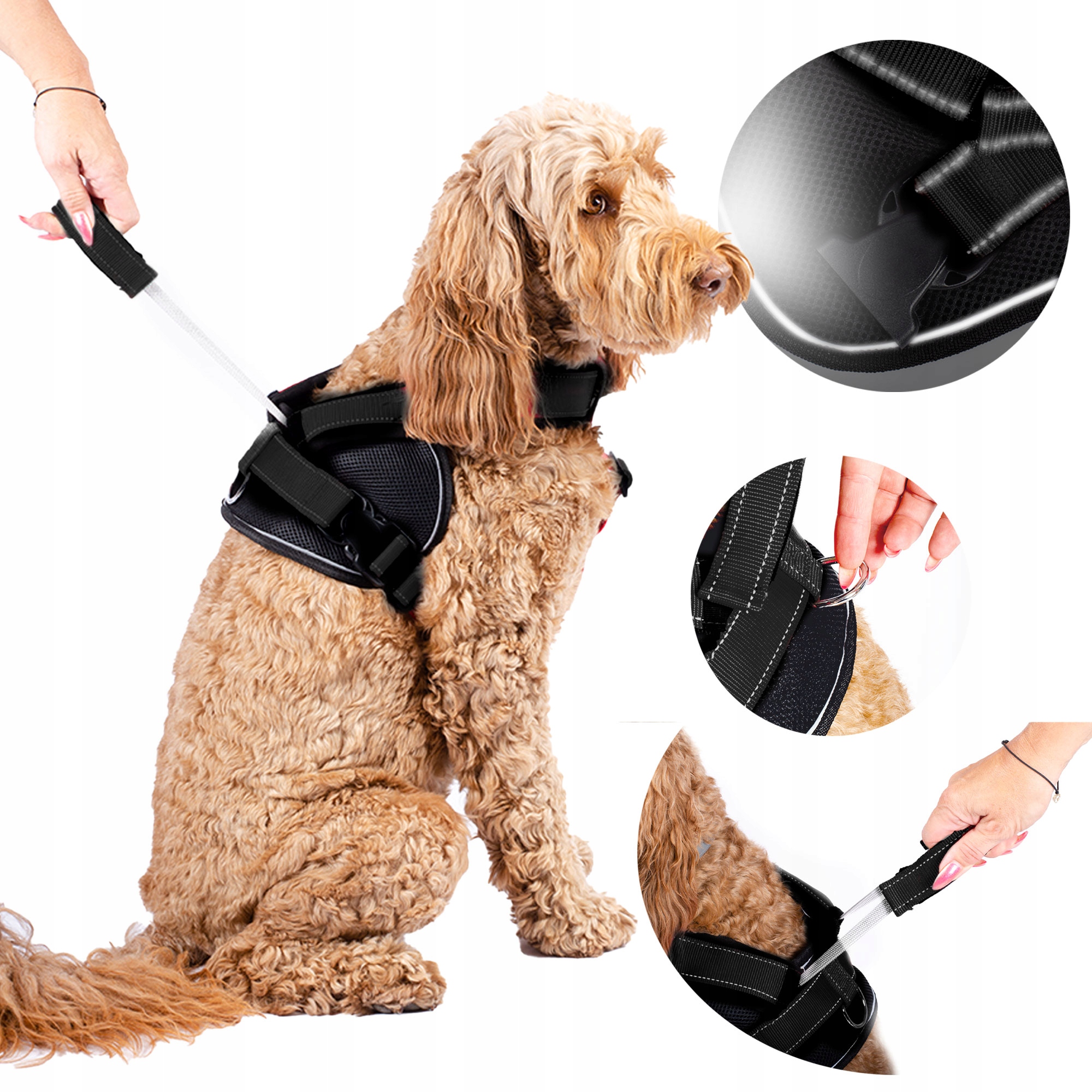 Beztlakové Obojky Pro Velkého Psa S Krátkou Rukojetí, Pohodlné, Pevná Ochrana