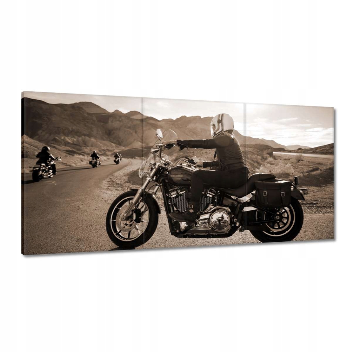Obrazy 180x90 Harley Davidson Motocykel