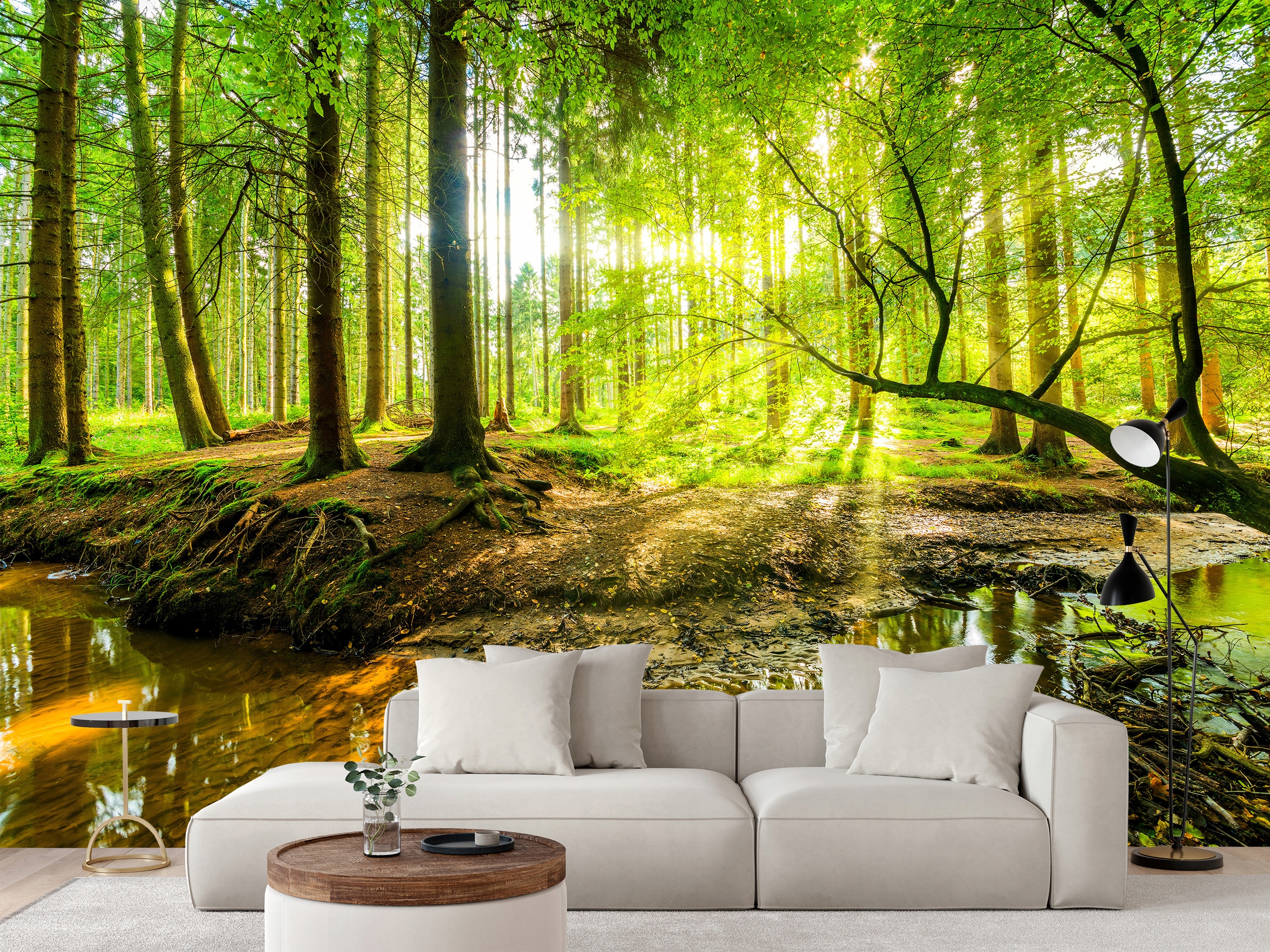 Fototapeta Panoráma Lesa S Potokom A Slnečnými Lúčmi 450 x 300 cm