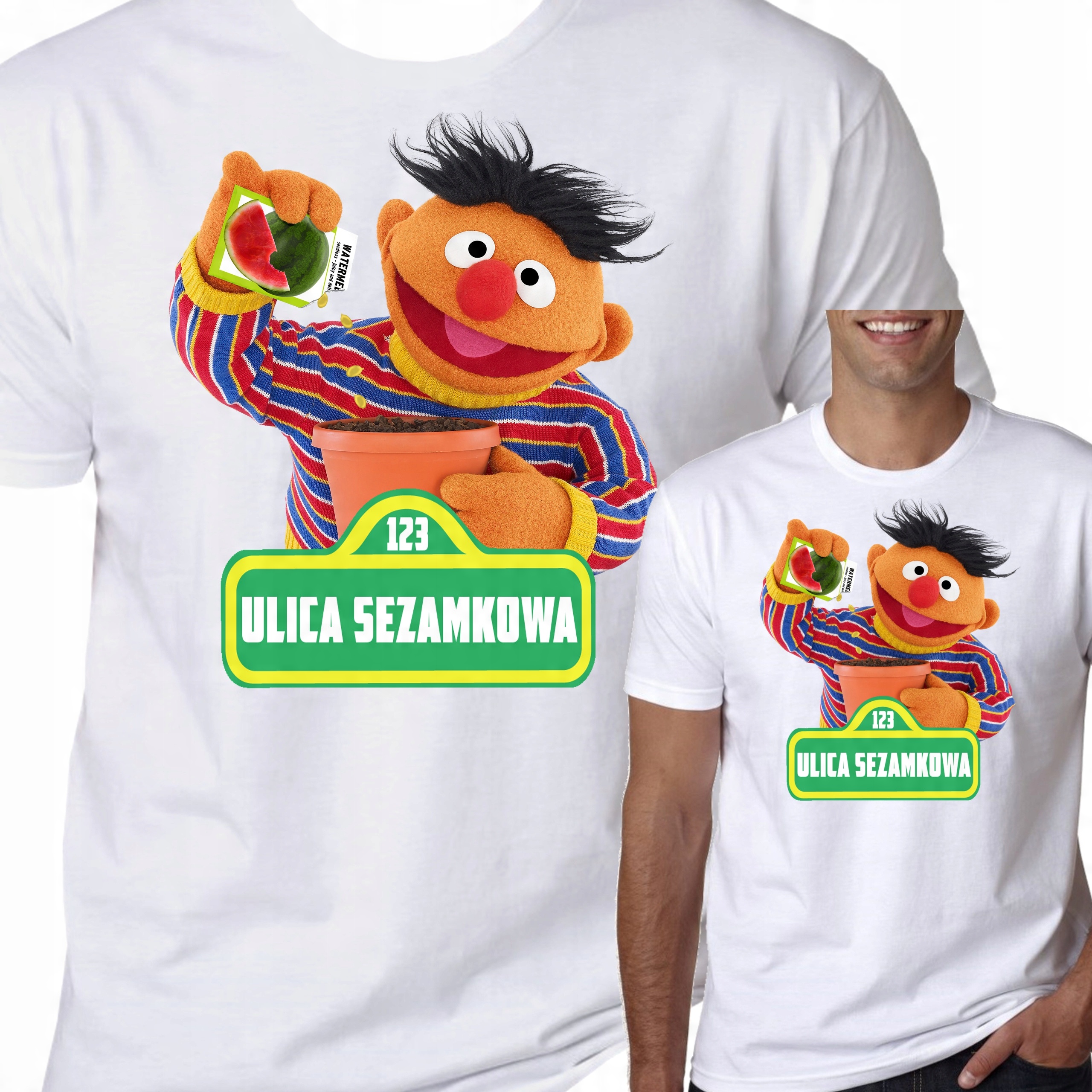 

T-Shirt Koszulka Ulica Sezamkowa Prezent L 0711