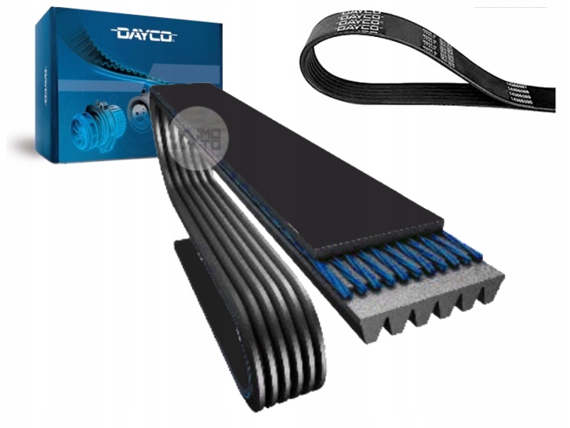 

Dayco Pasek Klinowy Ford Focus II 1.6 (da_)