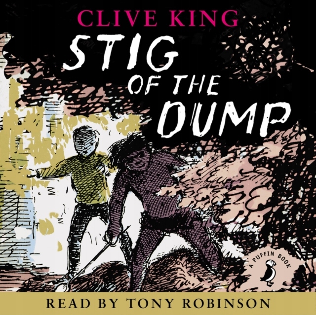 Stig of the Dump - King, Clive AUDIOBOOK