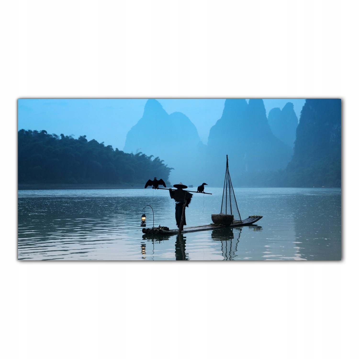 Rybák Kormoráni Ptáci 140x70 Tvrzené sklo panel