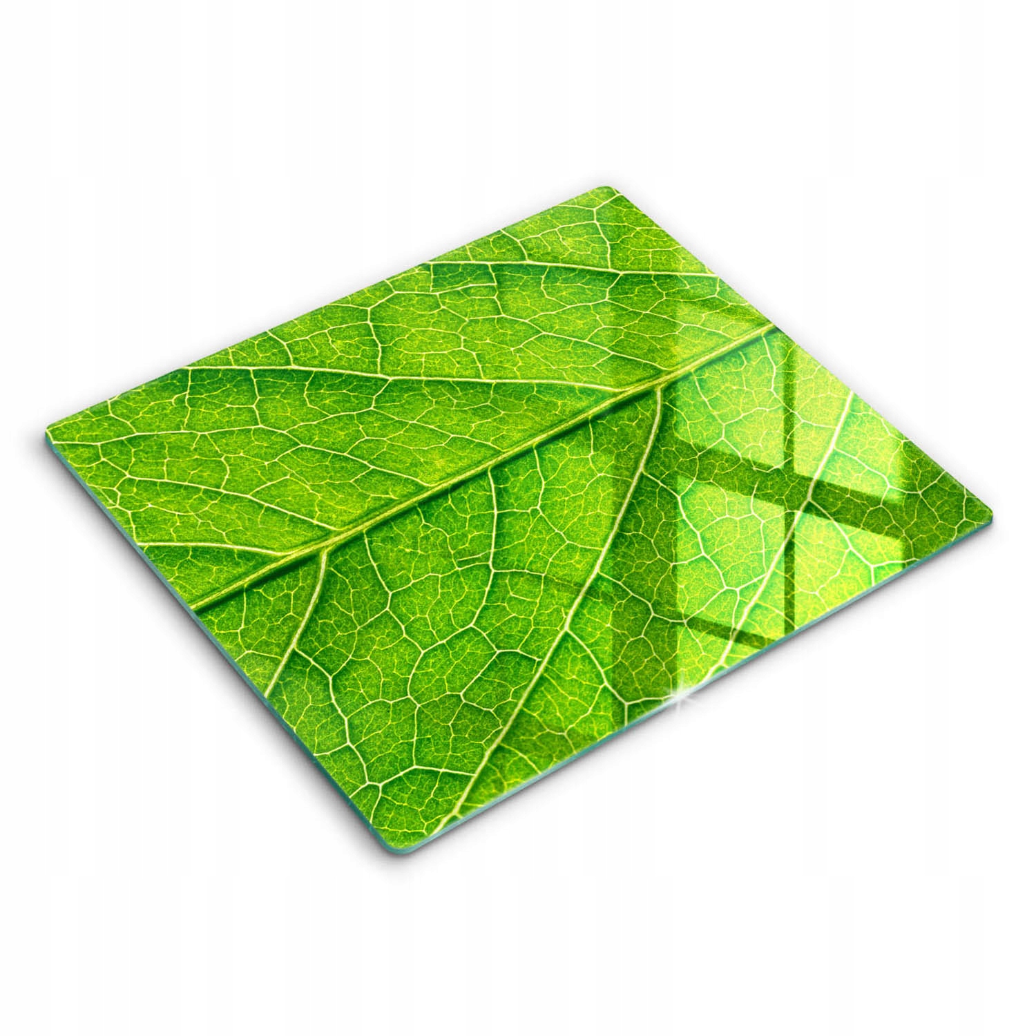 Skleněná deska s grafikou pro kuchyňské použití Žilky list příroda 60x52 cm