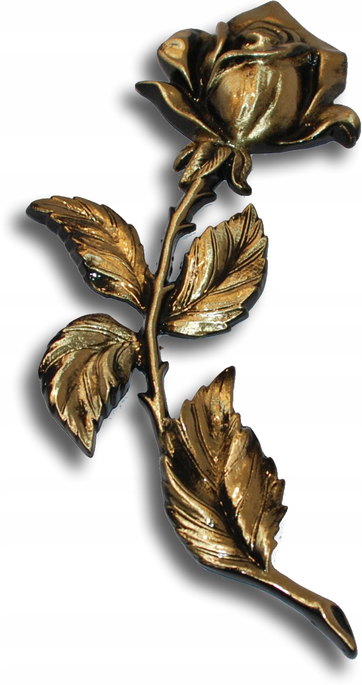 Růže ohnutá vpravo, výška 24 cm, mosazný odlitek, přední strana žlutá, černěné boky