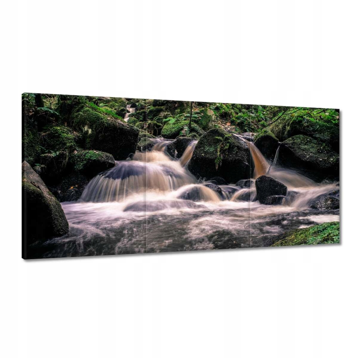 Obrazy 180x90 Horská riečka uprostred skál a rastlín