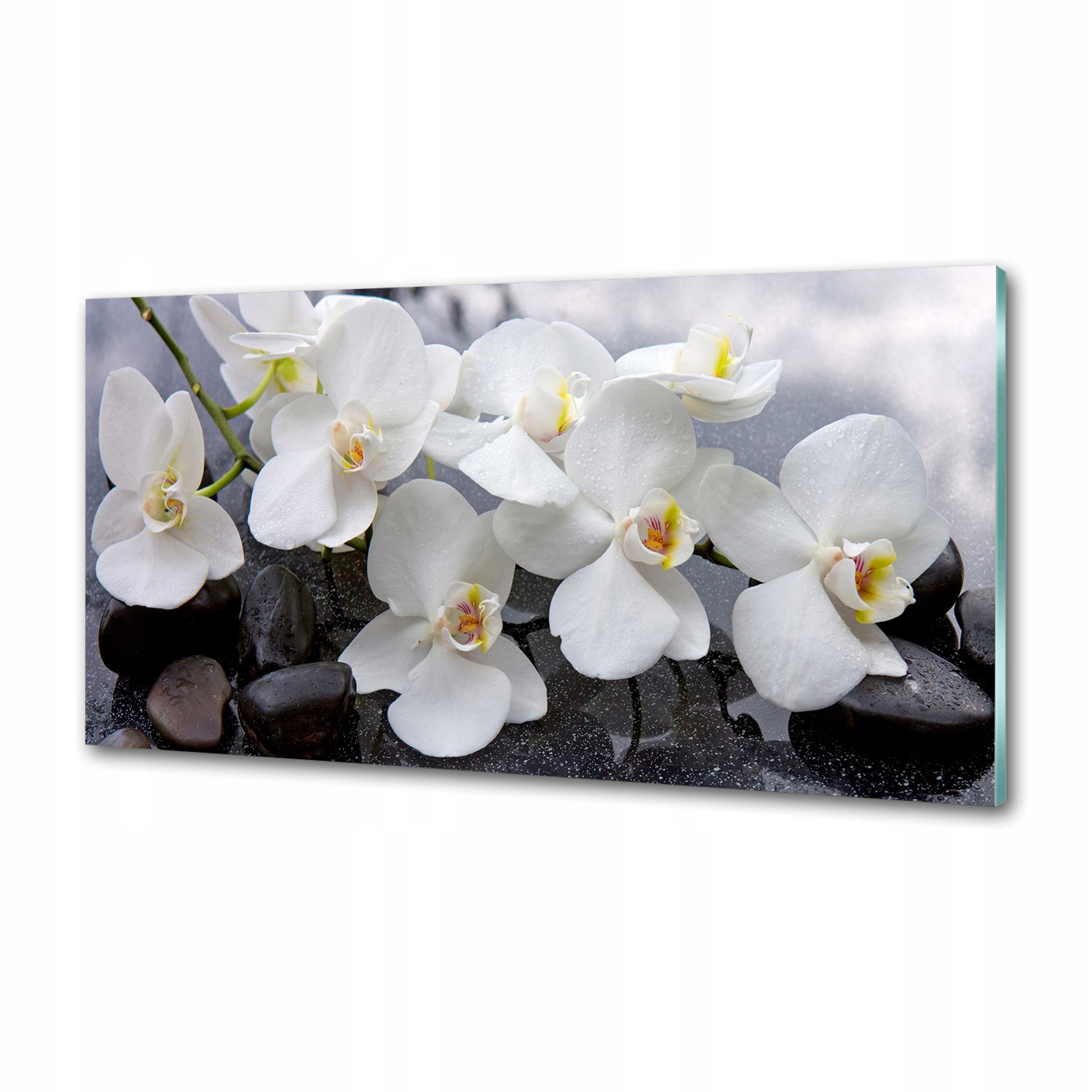 Panel medzi nábytkom v kuchyni Orchidea 120x60 Lepidlo