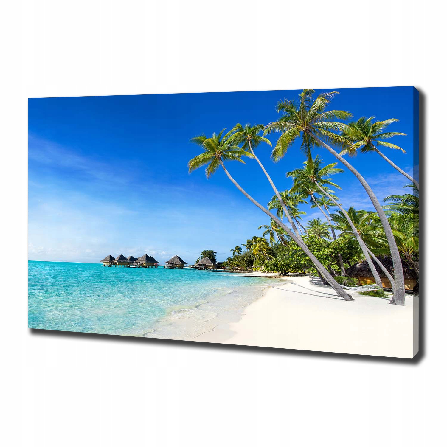 

Foto obraz canvas na ścianę Malediwy 100x70 cm