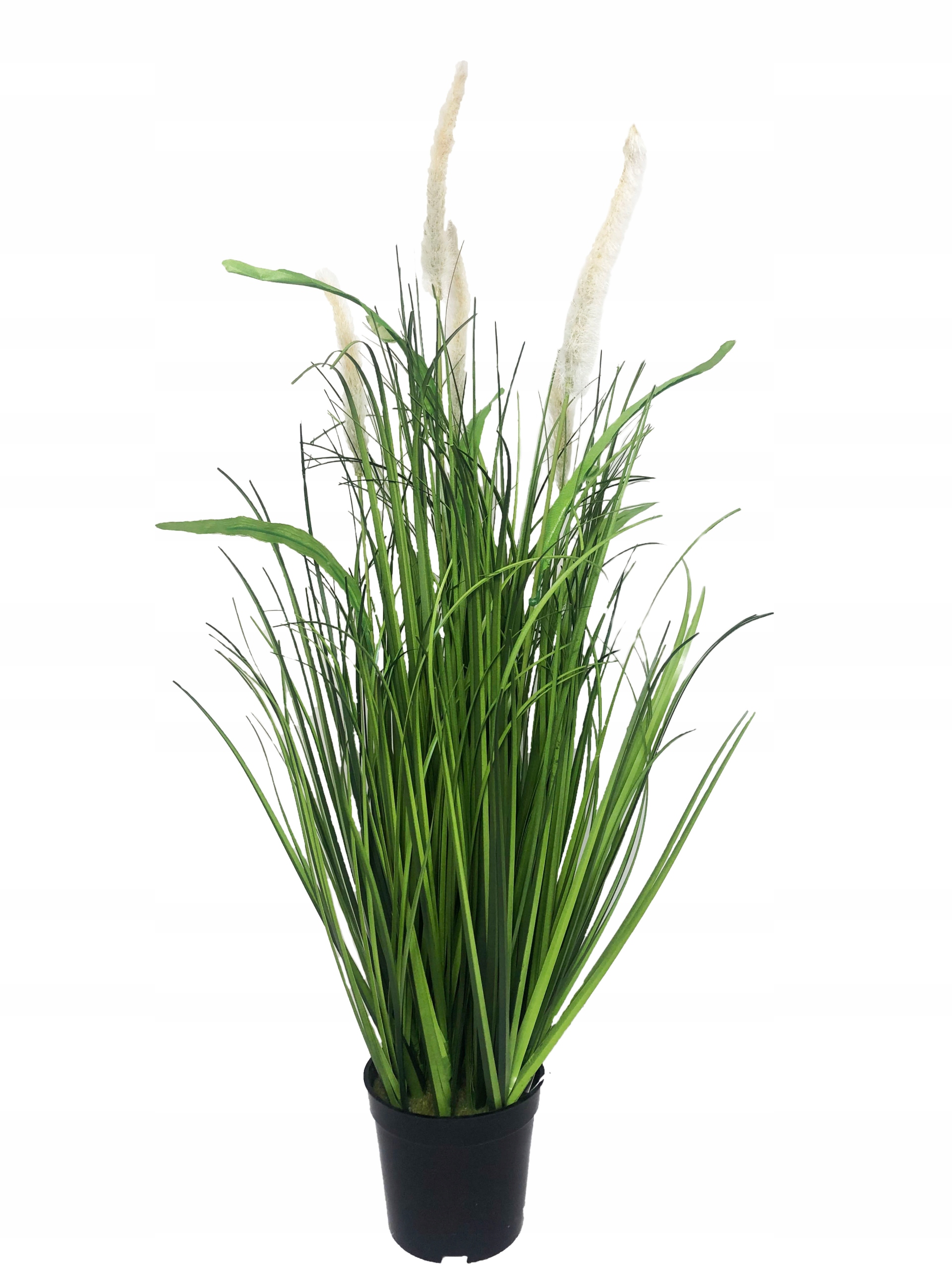 ROŚLINA W DONICZCE FEJKA KŁOSY OZDOBNA KWITNĄCA