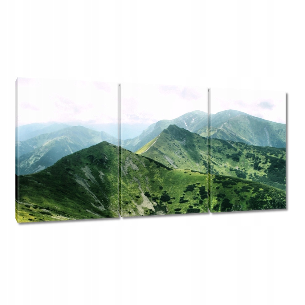 

Obrazy 240x120 Tatry Polskie góry Widok