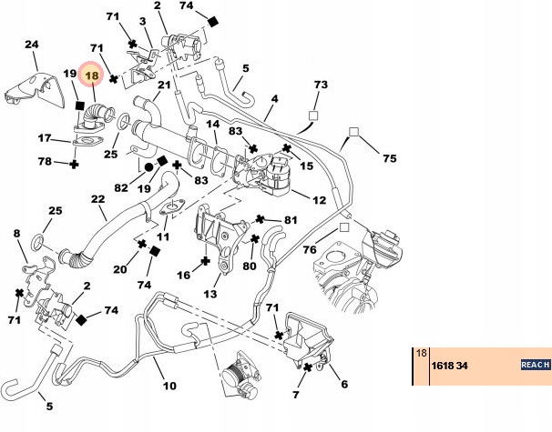 PRZEWOD SPALIN EGR CITROEN PEUGEOT 2 0 HDI 161834 Car type Passenger cars Cargo vans