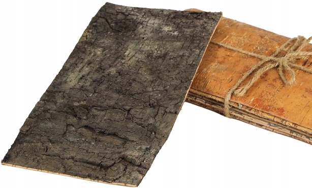 

5x Kora Dekoracyjna 10x25 cm Naturalna Susz Stroik