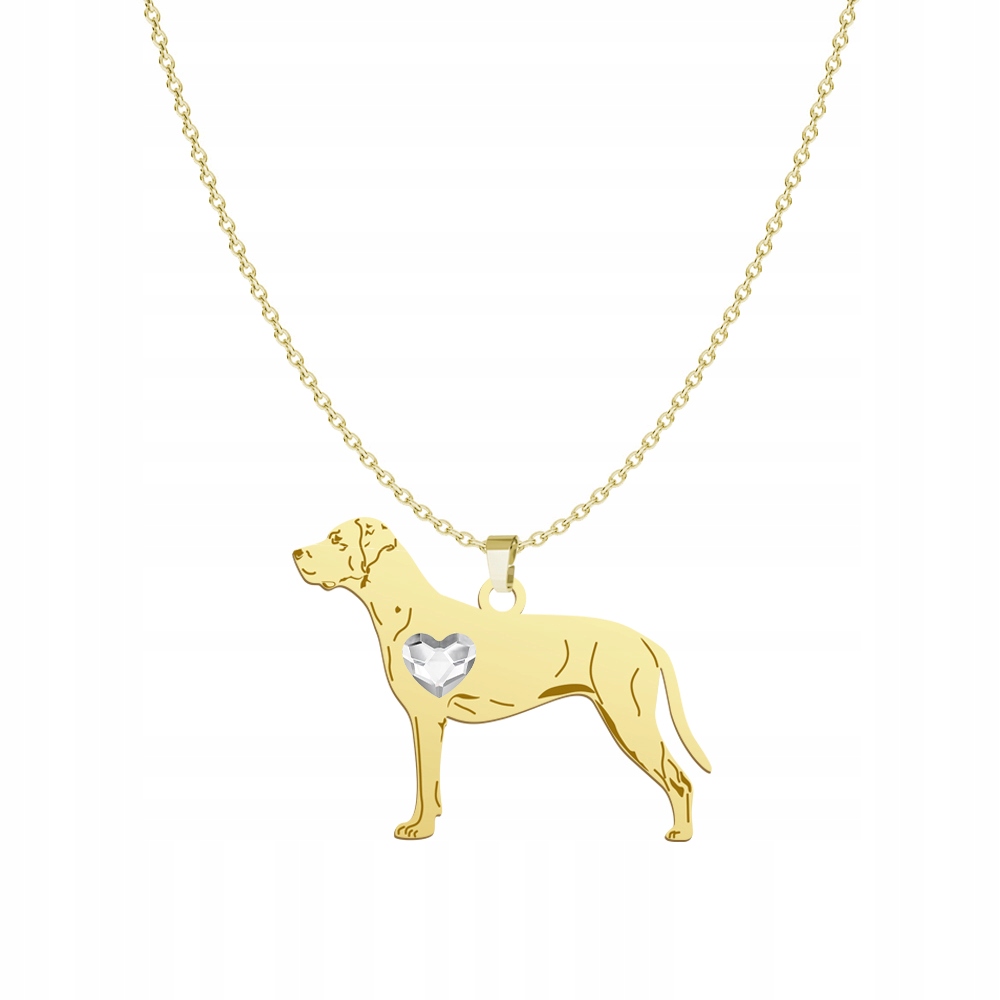 Zlatý náhrdelník Louisiana Catahoula 925 Řetízek Šperky Dárek Gravírování