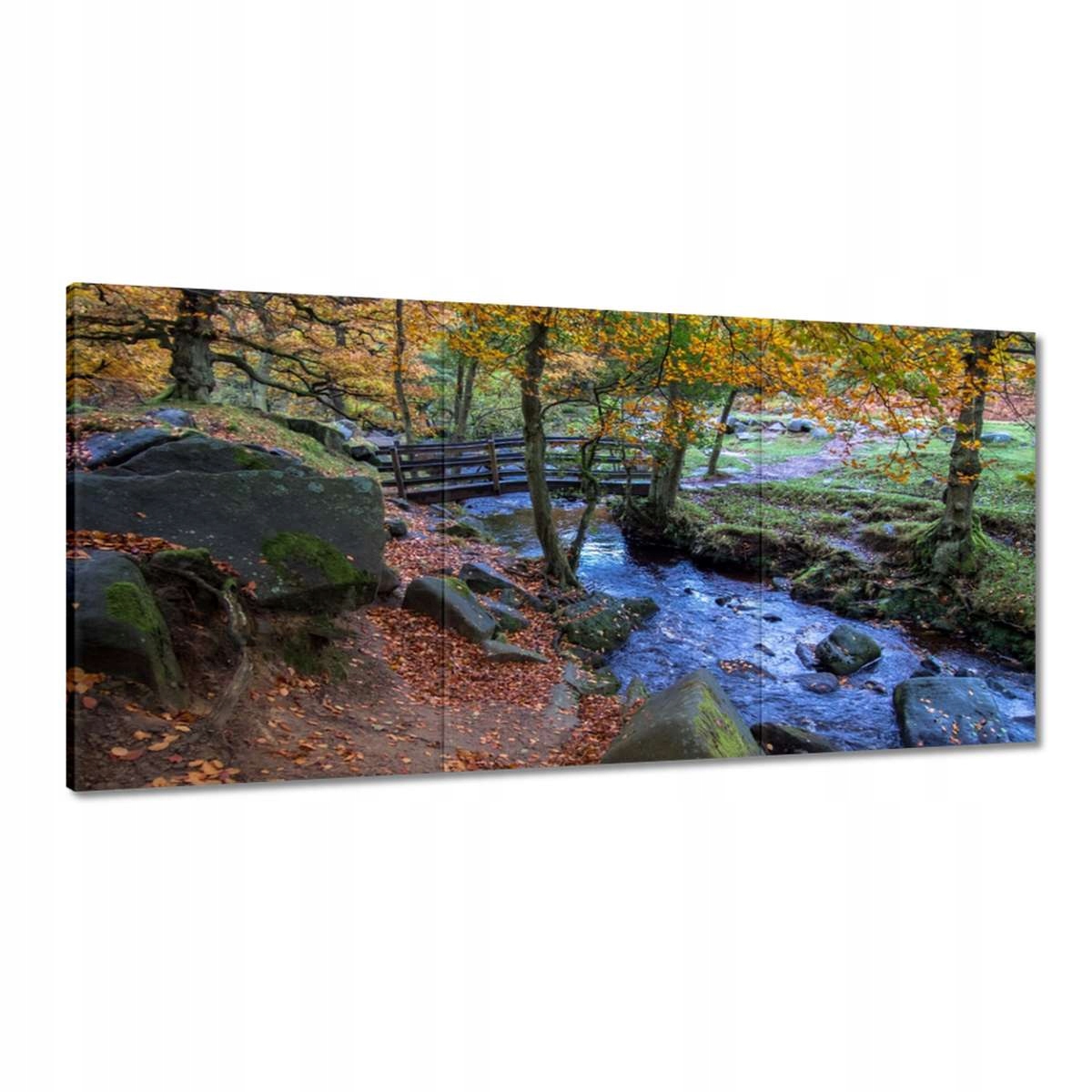 Obrazy 180x90 Mostík v parku