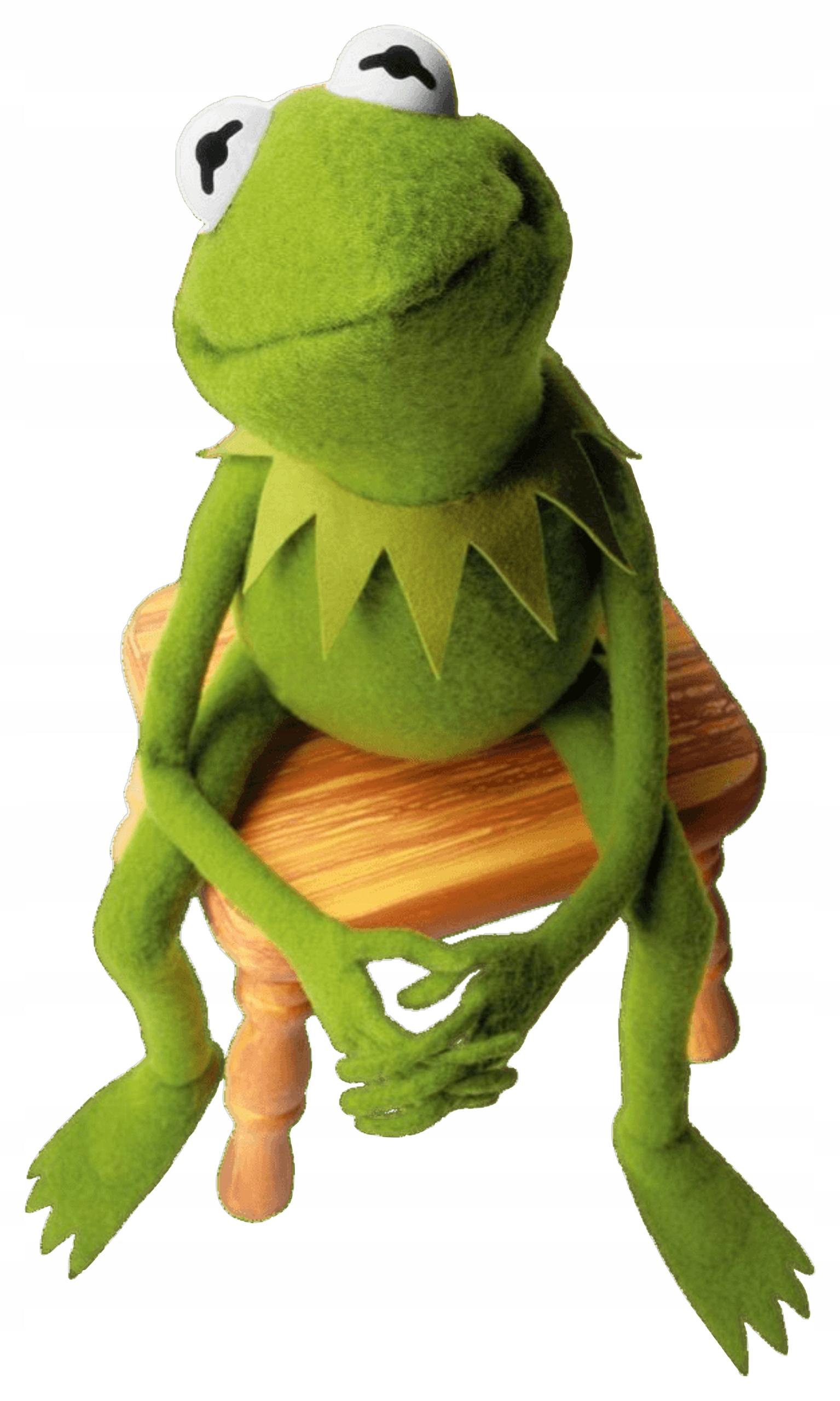 

Naklejka Na Okno Lustro Muppet Show Kermit Żaba