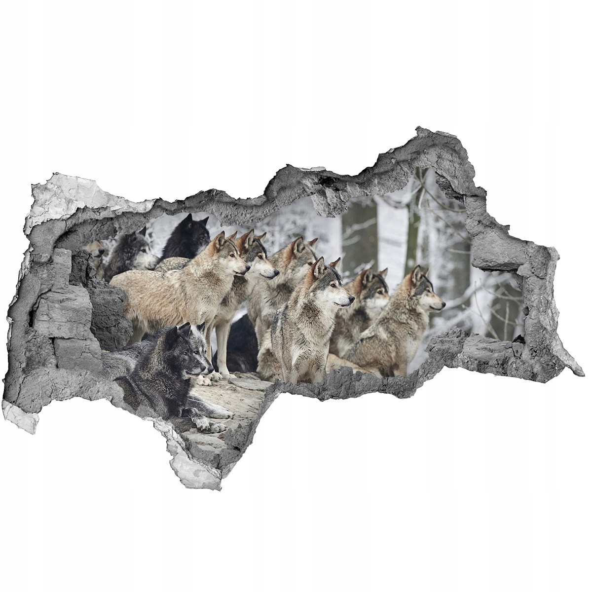 

Dziura 3d fototapeta ścienna Naklejka Wilki zimą