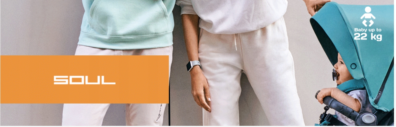 Wózek głęboki Easy Go Soul TAUPE 1w1 Marka Easy Go