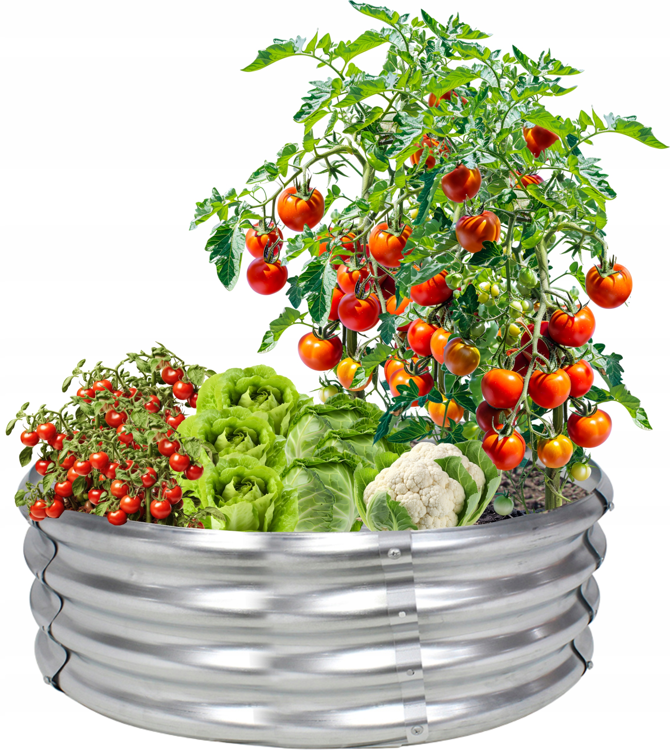 GRZĄDKA PODWYŻSZONA WARZYWNIAK WARZYWA KWIATY STAL 60X60X30cm OCYNK OGRÓD EAN (GTIN) 5900779868359