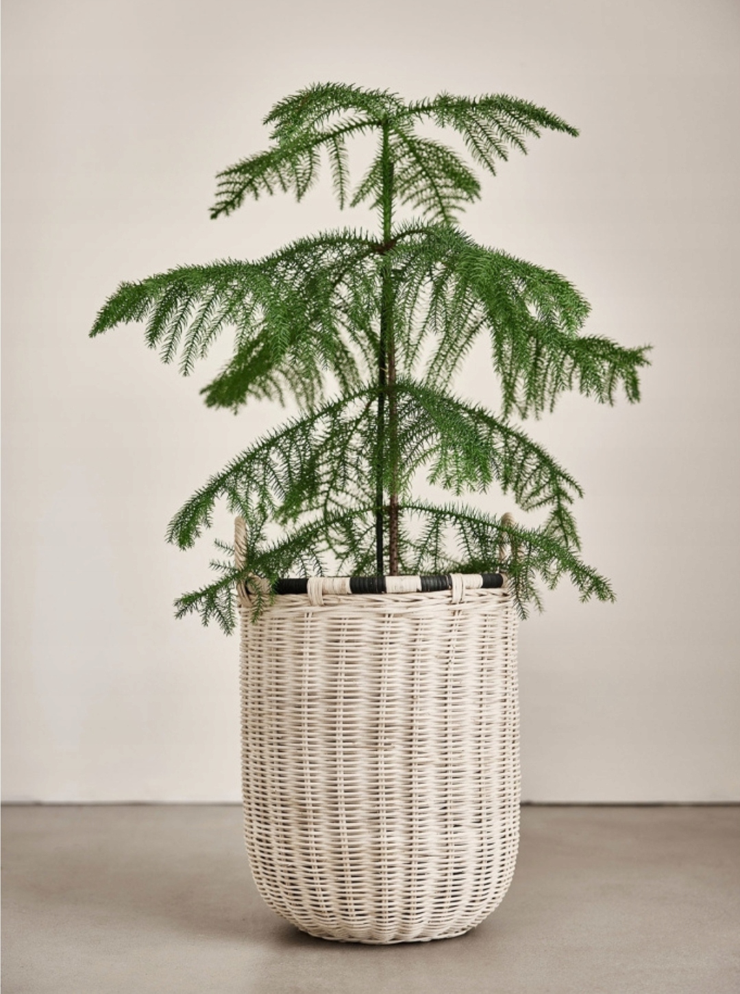 Úložný koš Boo vysoký Nature Oyoy Living