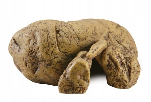 

Exo Terra Jaskinia dla Gadów Medium