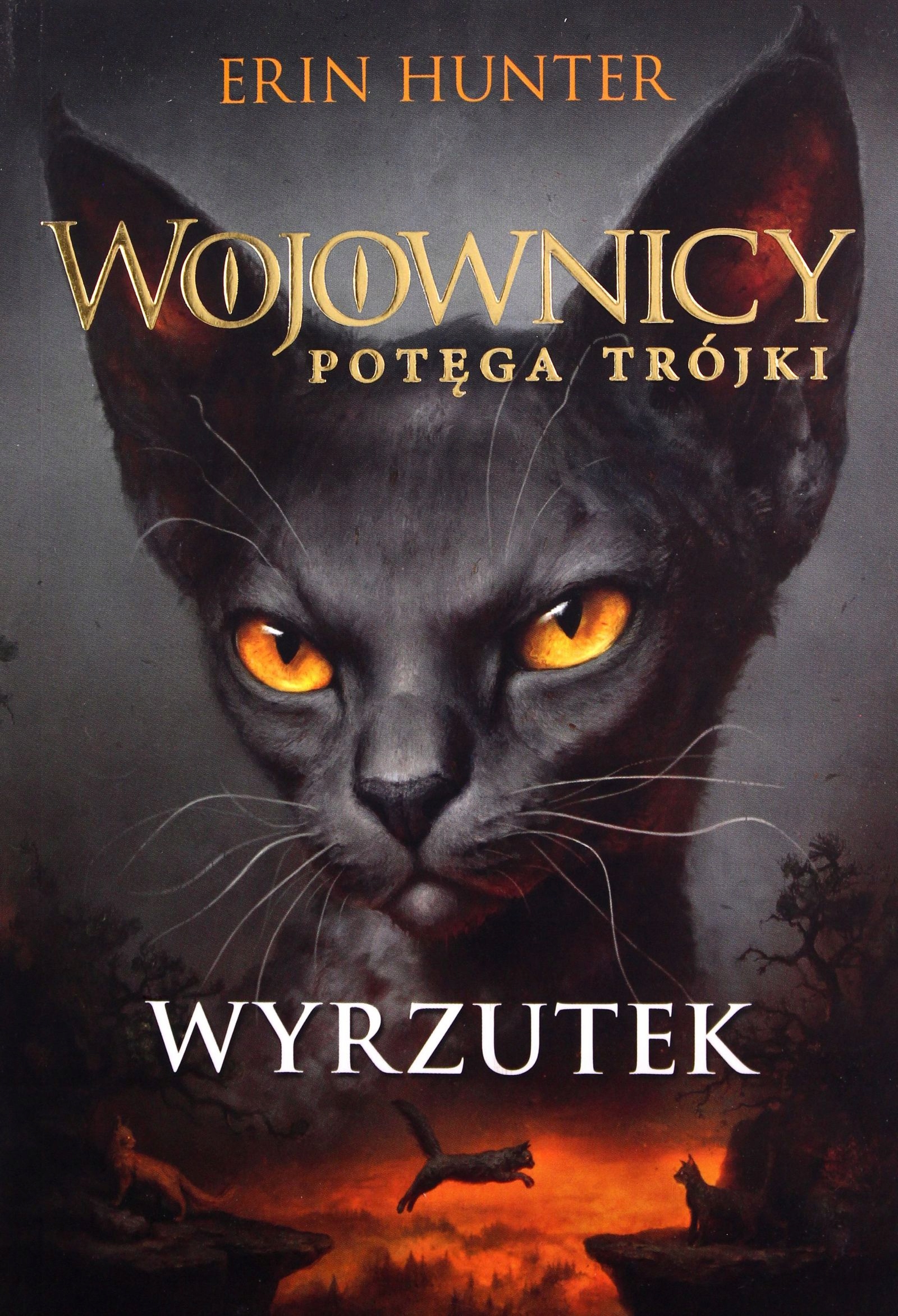 

Wyrzutek. Wojownicy. Potęga Trójki Erin Hunter