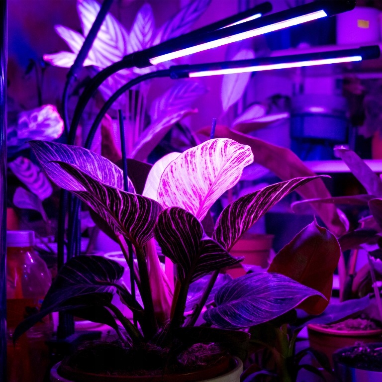 LAMPA DO WZROSTU UPRAWY ROŚLIN LED GROW LIGHT TIMER 9 POZIOMÓW ŚWIECENIA Typ oświetlenia GROW