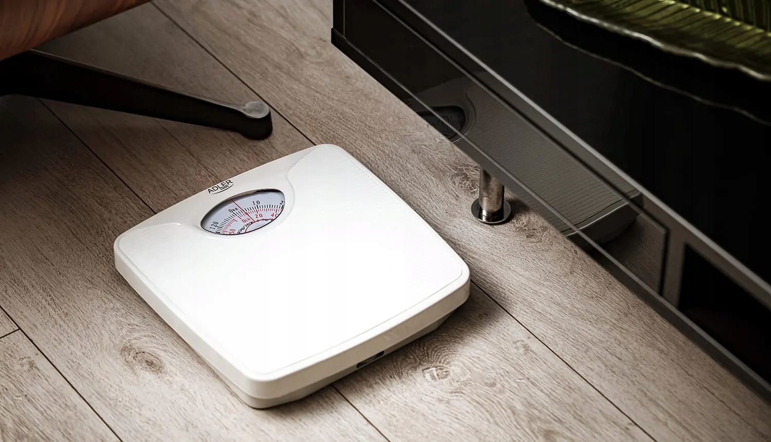 Waga łazienkowa mechaniczna AD 8151 white - dokładna i wygodna