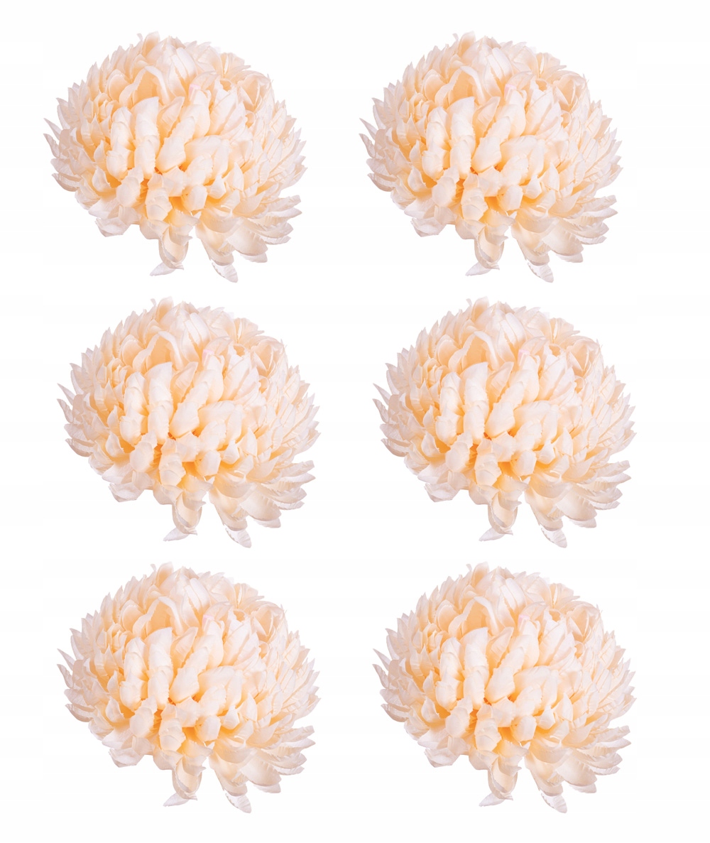 

Chryzantema ananas kremowo morelowa 6 sztuk wyrób