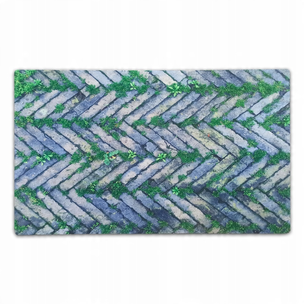 

Praktyczna Wycieraczka 45X75 Do Domu Wytrzymała