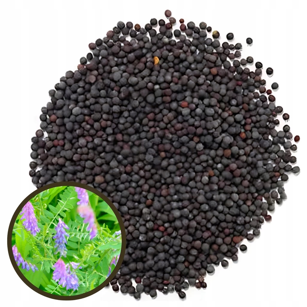 Wyka paszowa nasiona 20kg