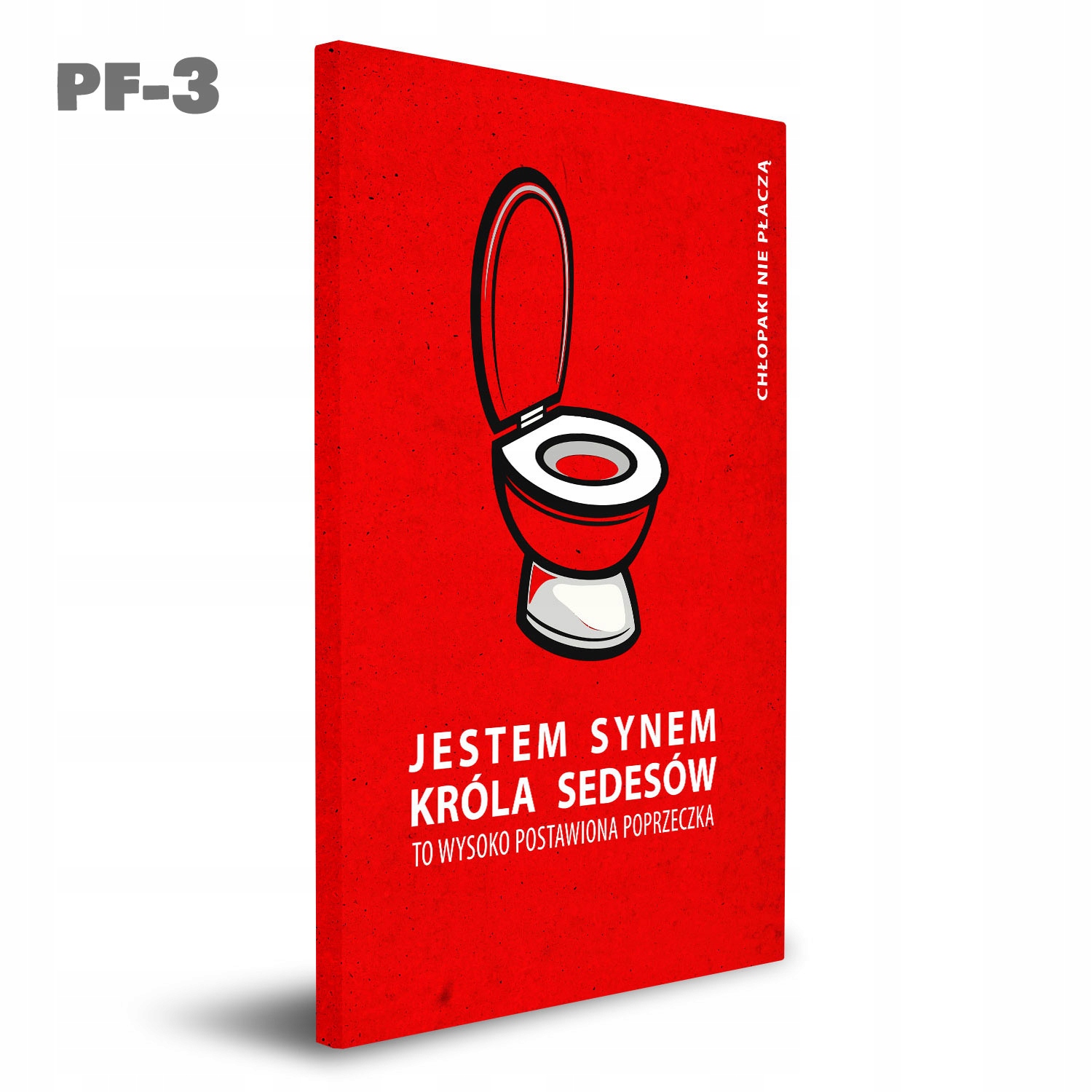 Obraz Akustyczny na płótnie FILMY -6 WZORÓW Marka Inna