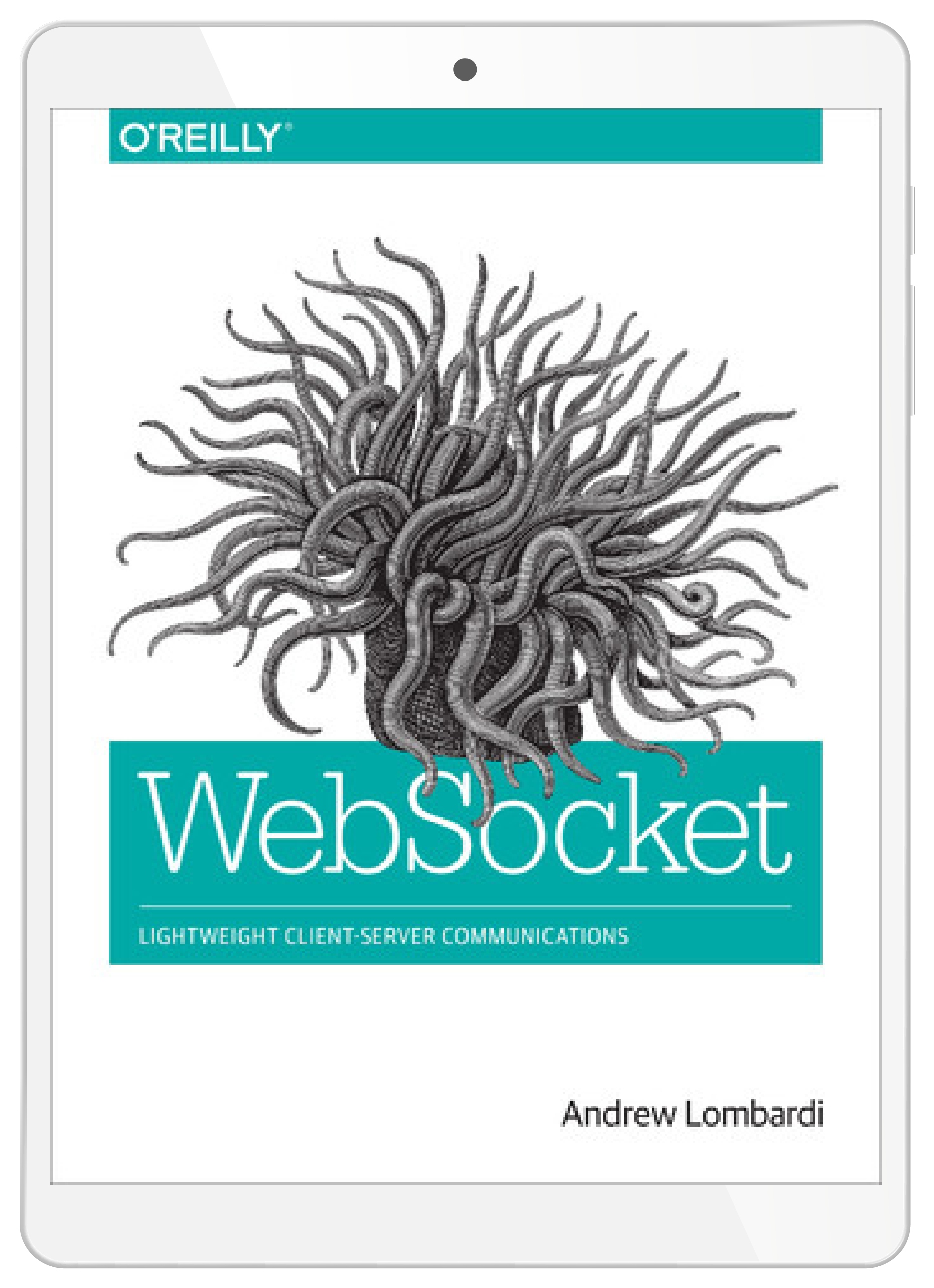WebSocket. Lightweight Client-Server