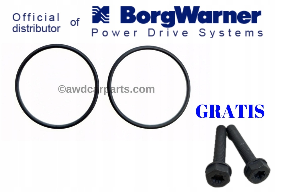 BorgWarner Oringi do pomp Haldex 5 i 6 generacji + Śruby pompy 5 gen GRATIS
