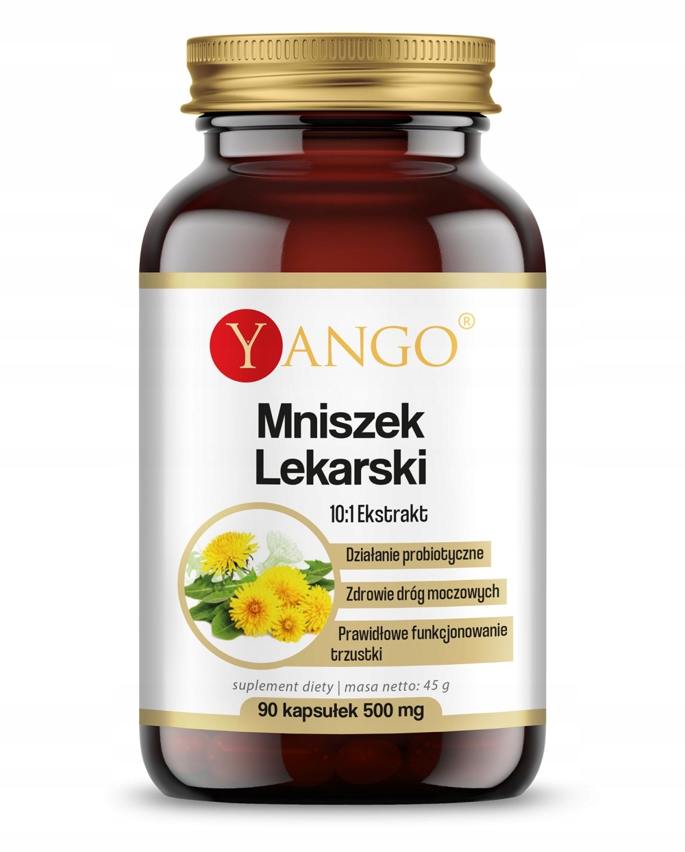 

Mniszek lekarski ekstrakt 10:1 90 kapsułek Yango