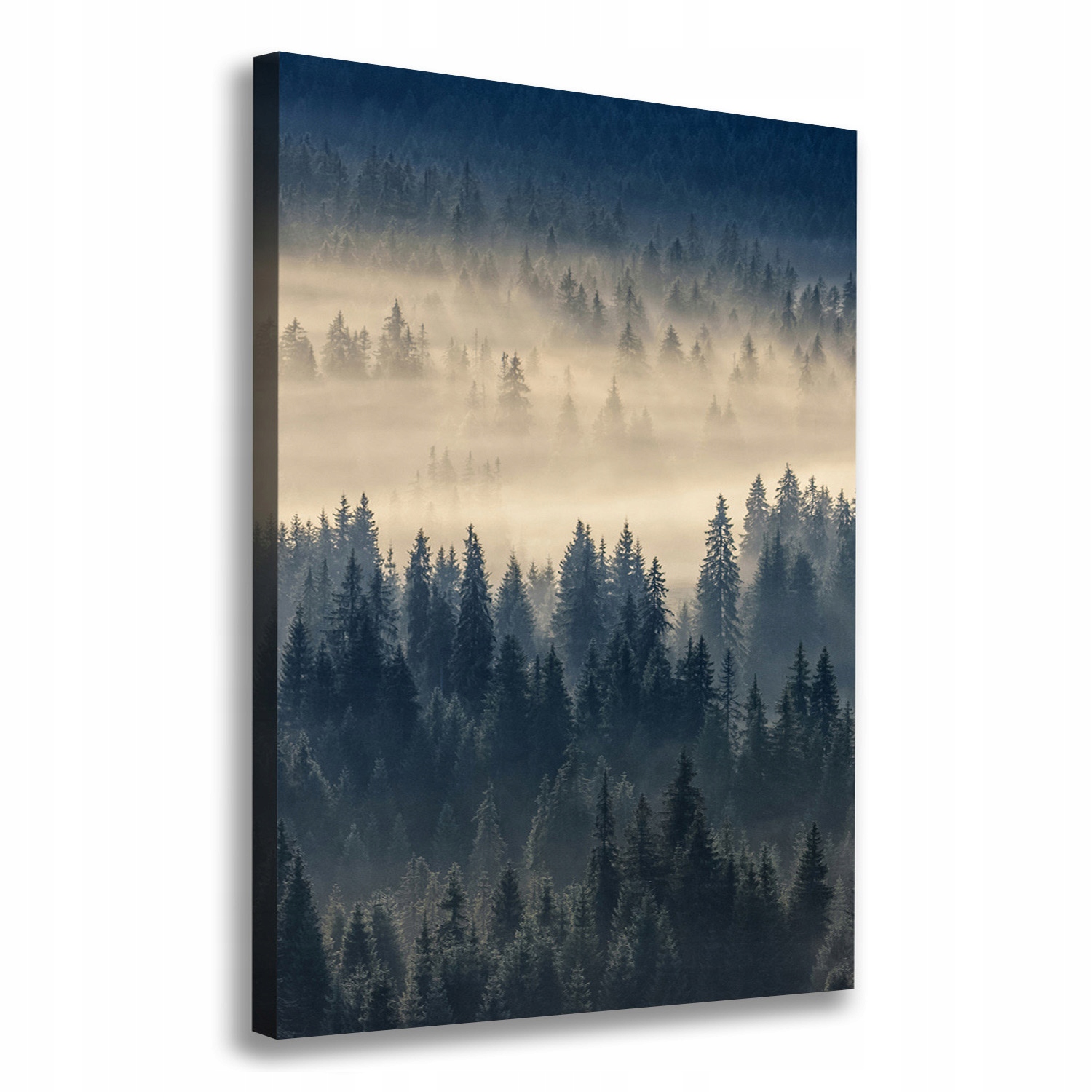 

Foto obraz na płótnie Mgła nad lasem 70x100 cm