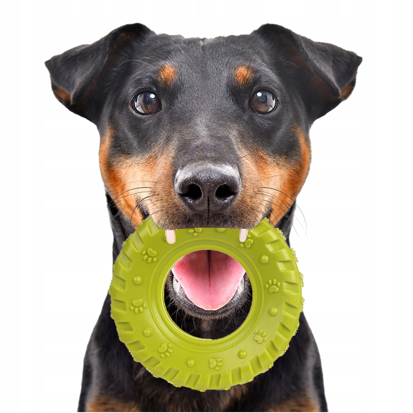 Levně Gumové Kousátko Pro Psa Ve Tvaru Pneumatiky Odolné Proti Kousání, 20 CM