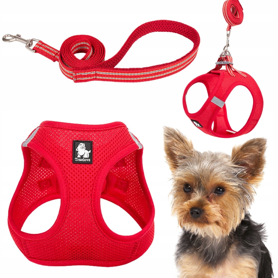Levně Postroj Vodítko Pro Malého Psa Kočku Lehké Truelove Mini Červené Xs Sada