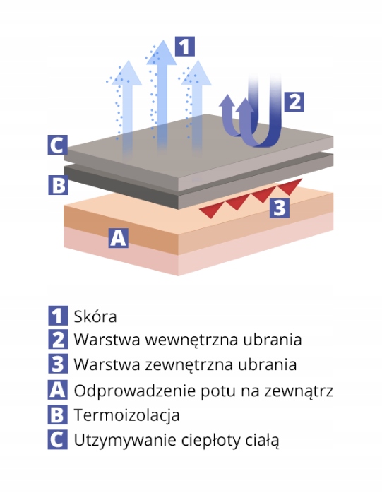 TERMOAKTYWNE KALESONY SKIMO czarne r. M Marka Inna marka