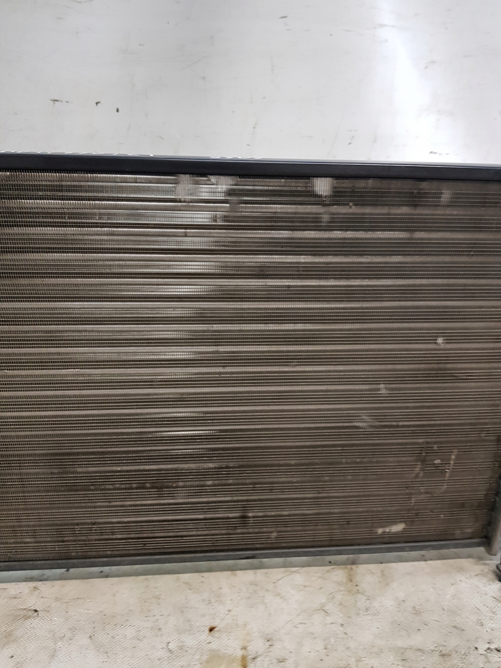 water cooler FORD FOCUS MK1 1.6B