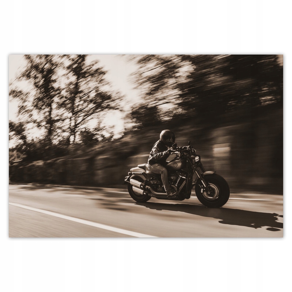 

Plakaty 93x62 Harley Davidson Motocykl