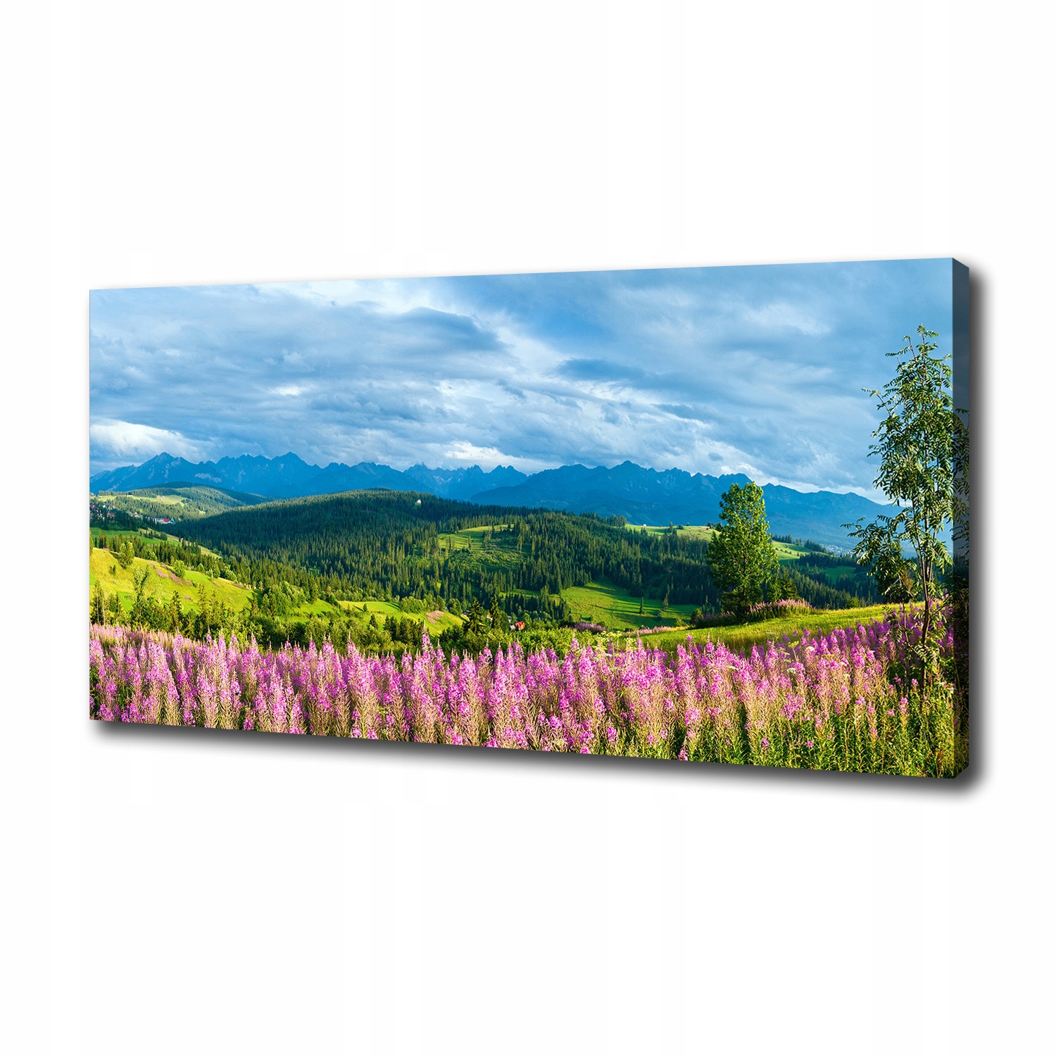 

Foto obraz na płótnie Lawenda w górach 100x50 cm