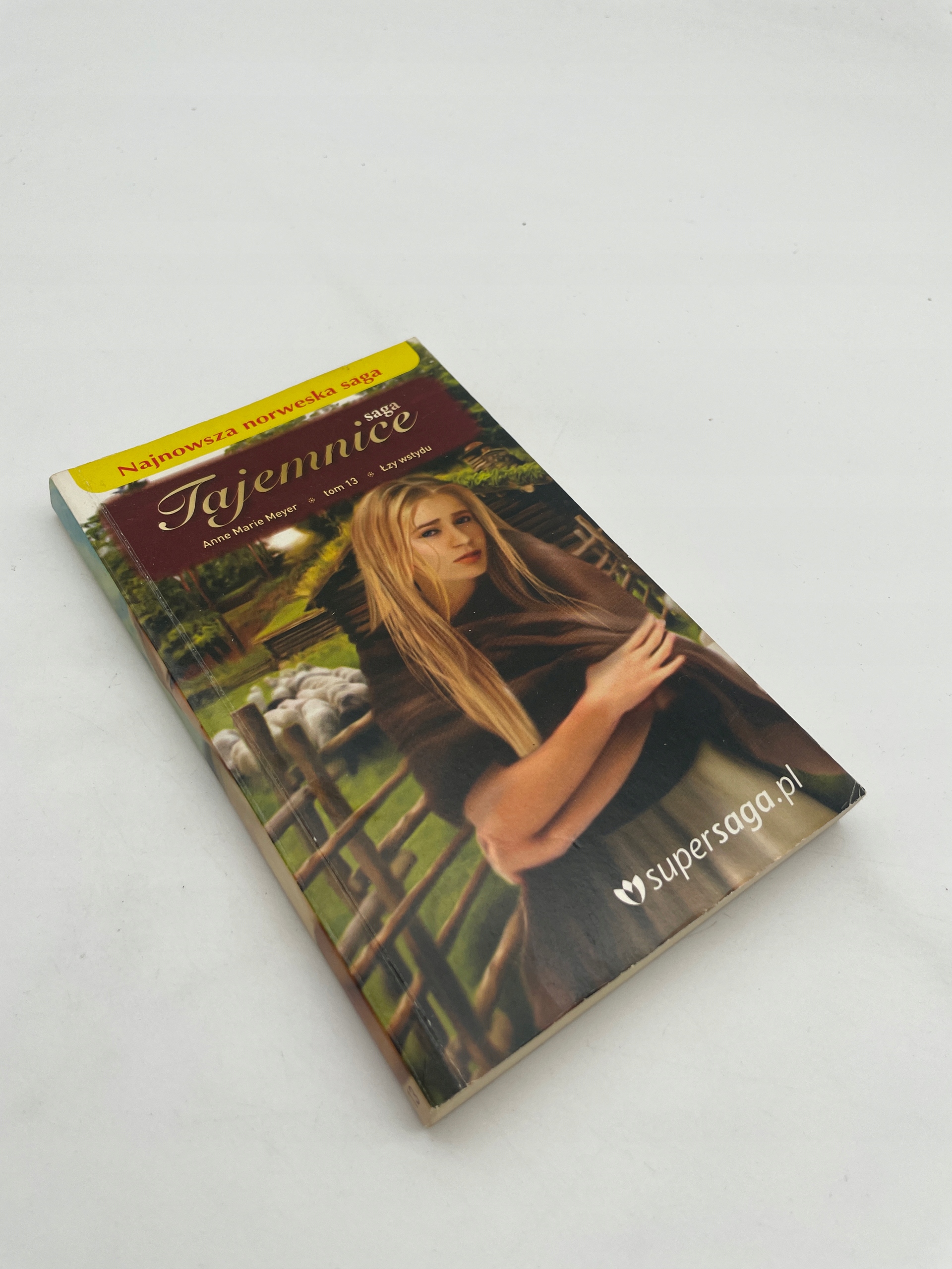Saga tajemnice saga. Anne Marie Meyer.