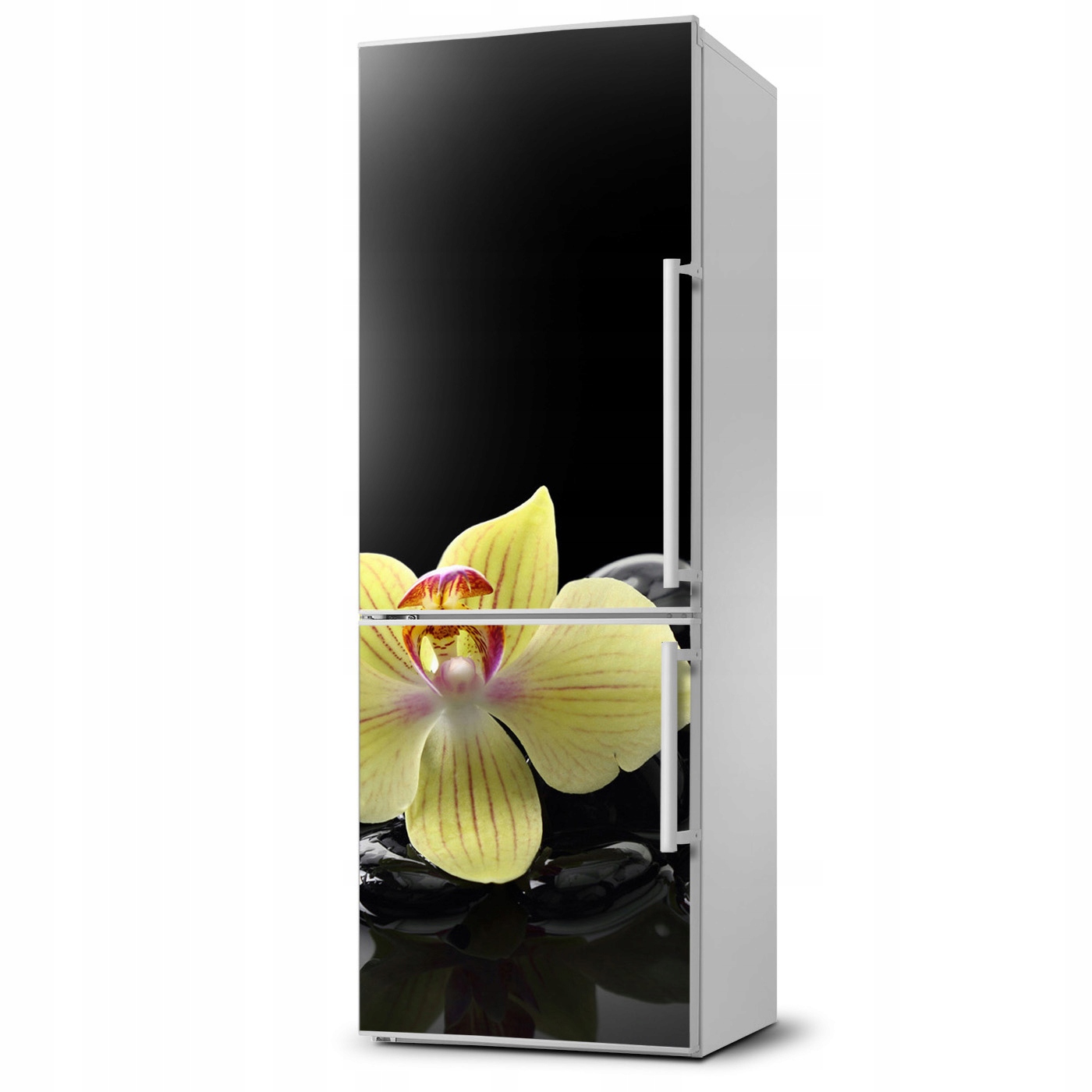 

Naklejka Magnes Magnes Orchidea 60x180